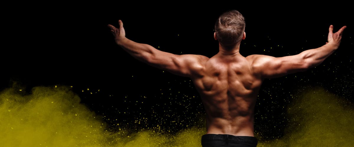 Find 
Bodybuilding 
Trainers 
Worldwide